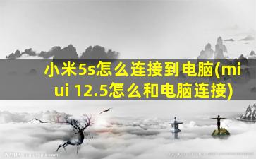 小米5s怎么连接到电脑(miui 12.5怎么和电脑连接)